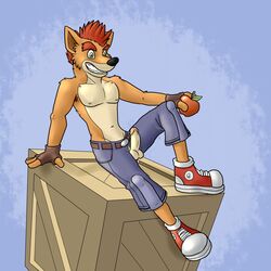 1boy 2015 anthro armpit_hair balls bandicoot belt black_nose blue_shorts blueballs_(artist) box brown_belt brown_fingerless_gloves brown_gloves clenched_teeth clothed clothing color crash_(series) crash_bandicoot crash_bandicoot_(series) crate erect erect_penis erection fingerless_gloves fur furry furry_only gloves green_eyes grin hairy_armpits half-dressed humanoid_penis male male_focus male_only mammal marsupial muscle muscles nipples no_humans orange_fur penetration penis penis_through_fly pose red_eyeshadow red_hair red_shoes red_sneakers relaxing shoes shorts simple_background sitting sitting_on_crate sneakers solo solo_male tan_fur teeth teeth_clenched testicles topless unzipped video_games wumpa_fruit zipper zipper_down