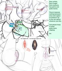 anatomically_correct anatomically_correct_pussy anus ass drawing_guide educational female incorgnito jaxonian male os pussy straight tutorial