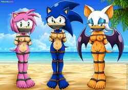 5_toes amy_rose bat bbmbbf beach bound breasts coconut_tree erect_nipples exhibitionism feet female gag gagged hairband hedgehog innie_pussy mammal mobius_unleashed mtf_transformation nipples palcomix public pussy rope rouge_the_bat rule_63 sand sea seaside sonic_(series) sonic_the_hedgehog sonic_the_hedgehog_(series) sonique_the_hedgehog water wings