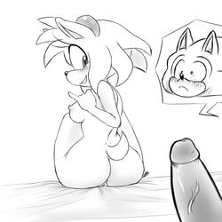 2015 amy_rose anthro areola ass bluechika breasts erect_nipples erection female fur furry greyscale hedgehog looking_at_another looking_back male mammal monochrome nipples nude penis pussy sonic_(series) sonic_the_hedgehog