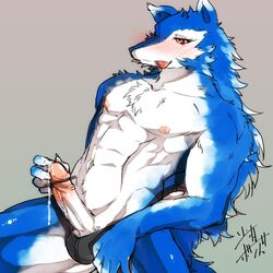 abs anthro balls blue_fur blush canine censored clothed clothing cum cum_in_hand cum_on_penis fur half-dressed looking_at_viewer male male_only mammal muscles orange_eyes penis shaolin_bones solo tongue tongue_out topless underwear vein white_fur wolf yellow_sclera