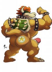 2014 bowser donryu dragon erection flexing full-length_portrait full_length huge_cock lizard male male_only mario_(series) nintendo penis portrait posing reptile scalie sketch solo standing