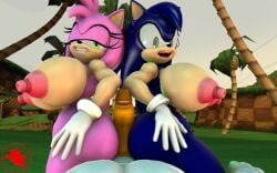 amy rose from sonic (series) by boiboi9999