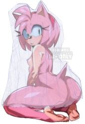 amy rose from sonic (series) by fleshpie669