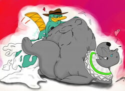 2boys anal_penetration anal_sex artist_request black_nose buckteeth crossover cum_in_ass erection excessive_cum fat frilled_collar gay hat hearts hyper_balls madagascar_(series) male missionary_position motion_lines orgasm_face perry_the_platypus phineas_and_ferb platypus pleasure_face seal sweatdrop tagme yaoi