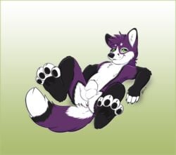 2015 anus balls canine fox fur green_eyes kwik lying male male_only mammal nude on_back penis penis_tip purple_fur sheath solo spread_legs spreading