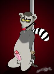 all_hail_king_julien ass ball_gag balls bondage bound cum datsexylemur dreamworks erection feral fur furry furry_only gag gagged king_julien lemur madagascar_(series) male male_only mammal penis pole primate rope saliva