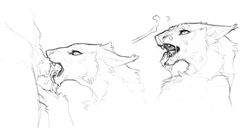 2015 anthro ball_grab balls black_and_white cum cum_in_mouth cum_inside cum_on_face cumshot duo fellatio female fur male mammal monochrome open_mouth oral orgasm penis sex simple_background sketch snowskau straight teeth tetton tongue tongue_out white_background