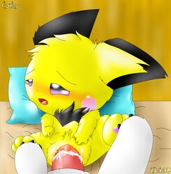 2008 color crossover culumon curby digimon digimon_(species) digimon_tamers female fur furry interspecies male pichu pokemon sex straight vaginal_penetration vulva