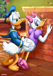 anthro bbmbbf bottomless clothes daisy_duck disney donald_duck duck female fur34 furry furry_only male palcomix penis sex soft_feathers straight tagme