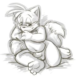 anthro balls canine chubby fox fur male male_only mammal monochrome penis roarey_raccoon solo sonic_(series) tagme tails