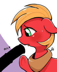 Big Macintosh (Mlp) Rule 34 Image