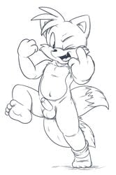 anthro balls canine fox fur gesture male male_only mammal middle_finger monochrome penis roarey_raccoon solo sonic_(series) tagme tails