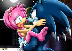 amy_rose anthro blue_arms blush color female fur furry furry_only green_eyes hedgehog male mammal mobius_unleashed nude pink_fur sex short_hair sonic_(series) sonic_the_hedgehog sonic_the_hedgehog_(series) sonic_the_werehog standing straight werehog