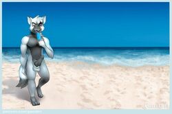 1boy anthro balls beach canine compression_artifacts digital_media_(artwork) erection eye_patch eyewear food fur furry gamibri looking_at_viewer male male_only mammal nude penis popsicle seaside smile solo solo_focus wolf