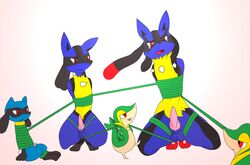 anthro bondage bonwolf bound canine fur hands_behind_back interspecies lucario male malesub mammal mega_evolution mega_lucario nintendo penis pokemon pokemon_(species) riolu size_difference small_dom_big_sub snivy spikes spread_legs spreading video_games vines