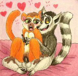 1boy 1boy1girl 1girls all_hail_king_julien bed blush clover_(madagascar) dreamworks female furry furry_only king_julien madagascar_(series) male penetration puku83 pussy sex tagme