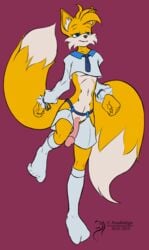 2015 arashidrgn blue_eyes canine clothing erection fox fur furry furry_only furry_tail knee_high_socks male male_only mammal multiple_tails penis sonic_(series) tail tails