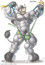 1boy anthro bovine braford cattle male male_only mammal muscular nipples solo