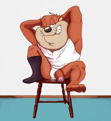 anthro balls briefs chair clothed clothing hugh legwear looney_tunes male male_only mammal marsupial maychin parent penis smile socks spectral-bat tasmanian_devil taz-mania uncut underwear warner_brothers