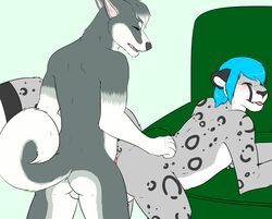 2015 anal anal_sex anthro blue_hair canine canine cheche duo feline fur hair husky leopard male mammal multicolored_fur paws penetration penis pillow sevrah sex snow_leopard spots two_tone_fur white_fur
