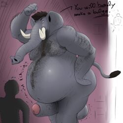 ambiguous_gender anthro arm_hair balls belly_hair big_balls big_penis body_hair brown_body brown_fur chest_hair dialogue duo elephant elephantid fur genitals grey_body hi_res imminent_vore male mammal miicoa_(artist) musclegut muscular muscular_arms muscular_male overweight overweight_male penis proboscidean rumbling_stomach size_difference tail text threatening_vore tusks