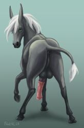 2024 abadin animal_genitalia animal_penis anus asinus ass backsack balls donkey equid equine equine_genitalia equine_penis erection eyelashes feral flared_penis fowler17 genitals green_eyes grey_hair hair hi_res hooves horizontal_pupils looking_at_viewer looking_back male mammal medial_ring penis perineum pupils rear_view solo