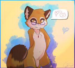 1boy 2015 amber_eyes anthro blush brown_fur cainethelongshot clothes eyewear flaccid fluffy glasses haru heart jewelry legwear looking_at_viewer male male_only mammal markings necklace nipples nude penis pov puffy raccoon simple_background sketch smile smirk solo standing stockings teeth uncut