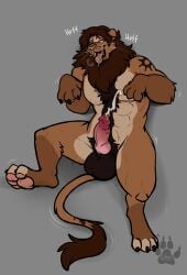 4_fingers 4_toes abs alternate_species animal_genitalia animal_penis anthro arm_tattoo artist_logo artist_name balls belly big_balls biped black_claws black_tattoo bodily_fluids body_hair breath brown_body brown_fur chest_tuft claws countershade_belly countershade_torso countershading crotch_tuft cum cum_on_belly cum_on_body cum_on_own_belly cum_on_self cumshot digital_media_(artwork) digitigrade dipstick_toes drooling ears_back ejaculation erection fangs feet felid feline_genitalia feline_penis finger_claws fingers flat_colors fluffy_mane fur fur_tattoo genital_fluids genitals glans gloves_(marking) grey_background half-closed_eyes handpaw hands-free happy happy_trail hi_res knot knotted_penis leg_markings lion lion_mane logo looking_pleasured lying male mammal mane markings motion_lines multicolored_body multicolored_fur muscular muscular_anthro muscular_male narrowed_eyes nude nude_anthro nude_male on_back one_eye_closed onomatopoeia open_mouth orgasm pantherine panting pawpads paws pecs penile_spines penis pink_nose pink_pawpads pink_penis pivoted_ears pubes saliva shadow sharp_teeth shoulder_tattoo simple_background smile snout socks_(marking) solo sound_effects spread_legs spreading tail tail_motion tail_tuft tailwag tan_body tan_fur tattoo teeth text toe_claws toes tongue tongue_out tuft w0lfb0y werewolfaboo whisker_spots whiskers yellow_eyes