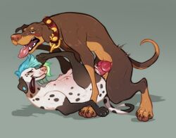 dog full_body hoot_(artist) knot nipples no_humans teeth tongue