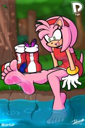 amy rose from sonic (series) by dp1up