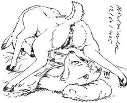 anthro anthro_on_feral anus ass canine cervine david_siegl deer female feral fox furry interspecies male mammal monochrome predator/prey presenting presenting_pussy pussy raised_tail spread_legs spreading straight young zoophilia