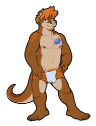 clothed clothing fur furry furry_only half-dressed looking_at_viewer male male_only mammal mustelid otter pubes simple_background solo teasing topless underwear undressing vasuki white_background