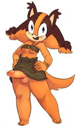 sticks the badger from sonic (series) by sparkydb