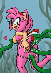 amy rose from sega by omegazuel