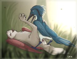 2015 ambiguous_gender animal_genitalia avian bird blue_feathers cloaca feathers feral feral_on_feral legs_up lying on_back original original_character owl red_feathers sex tuke wings