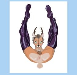 anthro armwear ass bondage bookakish chastity_cage chastity_device clothing deer genitals gloves handwear hi_res latex latex_armwear latex_clothing latex_gloves latex_handwear latex_legwear latex_stockings leg_grab legwear male mammal solo stockings