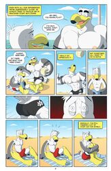 anthro anti_dev ass avian ayden_(brogulls) bailey_(brogulls) beach bird brothers bulge comic erection male male_only muscular nipples page_3 page_number seagull seaside sibling volleyball