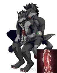 anal anal_sex anthro arch_noven balls canine chatonbleu cocky daddy duo father father_and_son incest internal male male_only mammal manly parent penetration penis son spreading tough_guy wolf yaoi