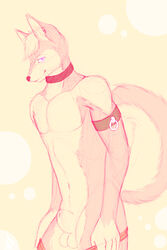 1boy 2015 anthro canine collar fully_sheathed fur girly hair husky looking_at_viewer male mammal multicolored_fur nialus nude pink_fur sheath sketch smirk solo standing two_tone_fur undressing white_fur white_hair