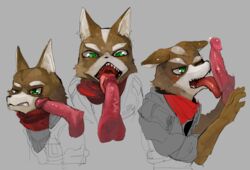 2015 anthro balls blush brown_fur canine clothing disembodied_penis duo ears_down erection eyebrows fellatio fox fox_mccloud fur green_eyes grey_background humanoid_penis jacket licking liteu male mammal nintendo one_eye_closed oral penis penis_lick precum sex simple_background solo_focus star_fox teeth tongue tongue_out vein veiny_penis video_games white_fur yaoi