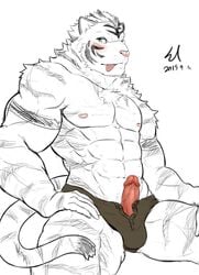 abs anthro blush clothing erection feline looking_at_viewer male male_only mammal muscles open_pants pants penis shorts simple_background solo tiger white_background xsrwe12