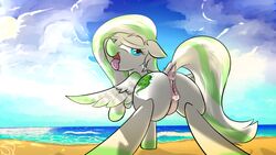 2015 ass beach cloud cutie_mark equine fan_character feathers female furry furry_only hair horse in_heat looking_at_viewer mammal multicolored_hair my_little_pony n-prophet non-anthro open_mouth pegasus pony presenting presenting_hindquarters pussy sand sea seaside water wings