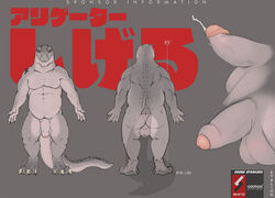 1boy 2015 alligator anthro back balls chubby claws close-up erection evalion front_view glans grey_scales grey_skin half-erect japanese_text male male_only model_sheet nude orgasm penis reptile scales scalie shigeru_the_alligator simple_background solo standing tattoo text uncut