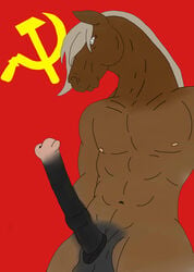 1boy animal_genitalia balls communism equine erection feral flag fur hair hammer_and_sickle horse horsecock male male_only mammal penis politics solo soviet tools two_tone_penis