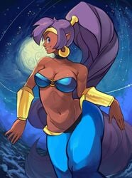 blue_eyes bra cleavage dark-skinned_female dark_skin earrings female keknep navel pointy_ears ponytail purple_hair shantae shantae_(character) smile smooth_fur solo tied_hair