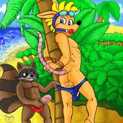 2boys beach bondage bound brief clothed clothing crossover erection gag gay guardians_of_the_galaxy male male_only mammal marsupial marvel opossum rocket_knight_adventures rocket_raccoon sparkster speedo swimwear yaoi