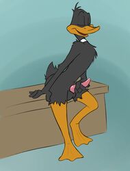 1boy anthro avian balls beak bird closed_eyes daffy_duck duck looking_pleasured looney_tunes male male_only masturbation open_mouth penis sitting skunkjunkie soft_feathers solo tapering_penis warner_brothers