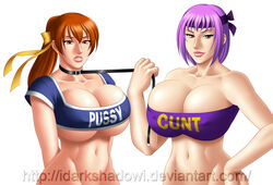 2girls ayane_(doa) breasts cleavage clothes_writing crop_top dead_or_alive female hair_ribbon headband human human_only kasumi_(doa) large_breasts leash long_hair looking_at_viewer multiple_girls navel orange_eyes orange_hair purple_hair red_eyes ribbon short_hair siblings sisters tecmo thedarkness tubetop underboob