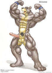 1boy anthro balls bear braford erection male male_only mammal muscular penis solo